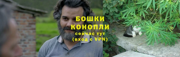 PSILOCYBIN Абдулино
