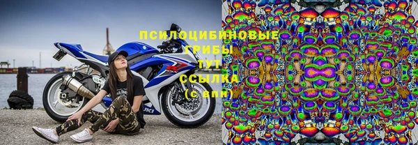 гидра Алексеевка