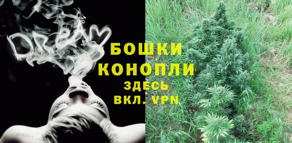 PSILOCYBIN Абдулино