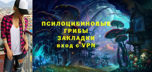 PSILOCYBIN Алзамай
