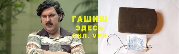 PSILOCYBIN Алзамай