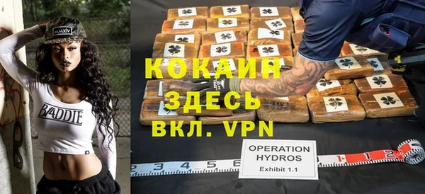 гидра Алексеевка