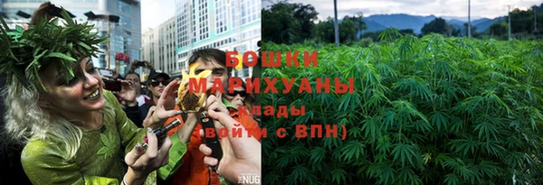 спайс Алексин