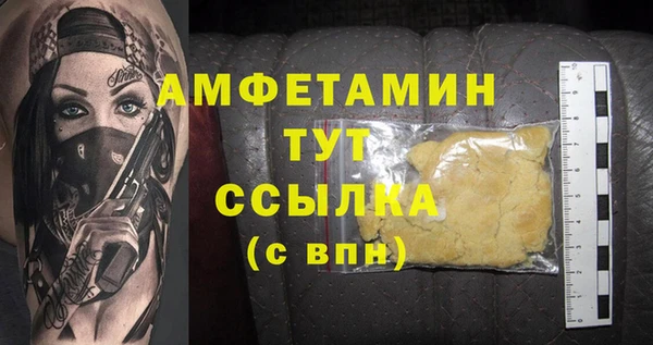 сатива Заводоуковск