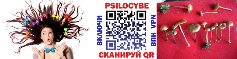 наркота kraken онион Псилоцибиновые грибы Magic Shrooms Зуевка