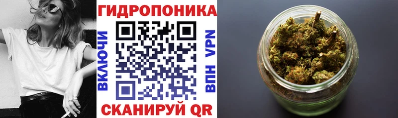 купить  цена  Зуевка  МАРИХУАНА марихуана 